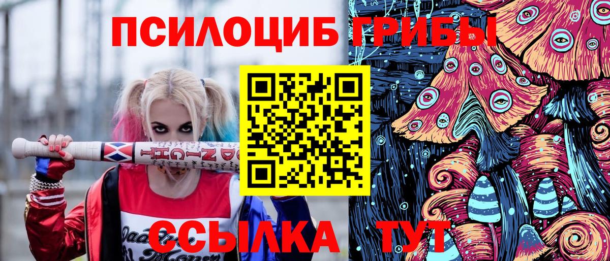 Галлюциногенные грибы прущие грибы  Вход с VPN  Невинномысск  Псилоцибиновые грибы Cubensis 